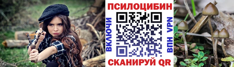 Псилоцибиновые грибы Psilocybe  Купить  Котово 